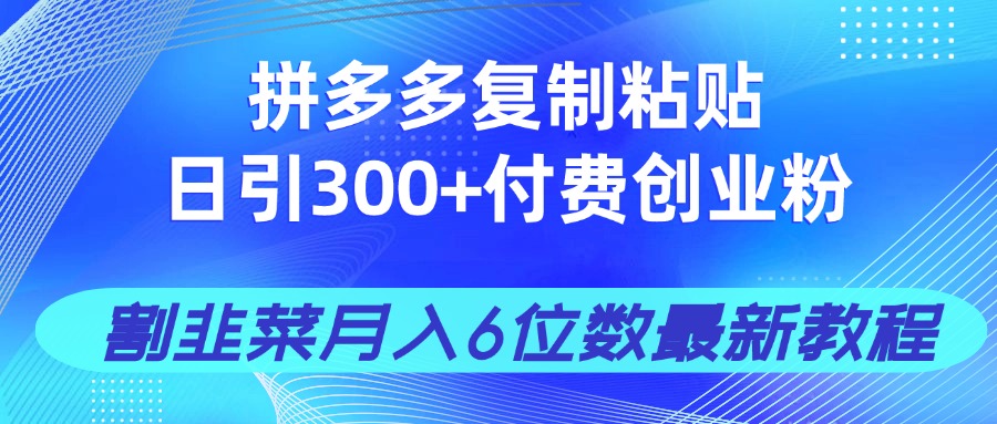 拼多多复制粘贴日引300+付费创业粉，割韭菜月入6位数最新教程！-网赚联盟