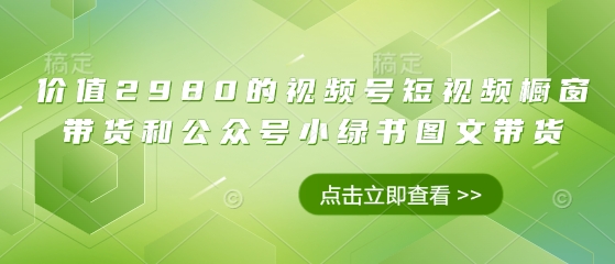 价值2980的视频号短视频橱窗带货和公众号小绿书图文带货-网赚联盟