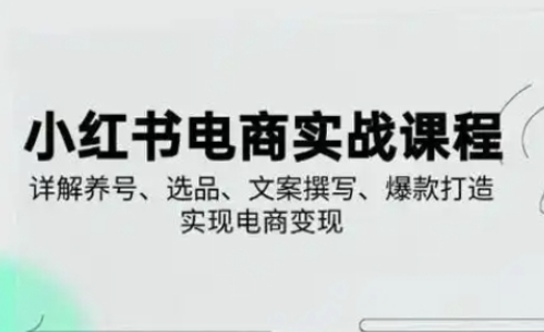 小红书从0-1实操课(2023-2025)，详解养号、选品、文案撰写、爆款打造实现电商变现-网赚联盟