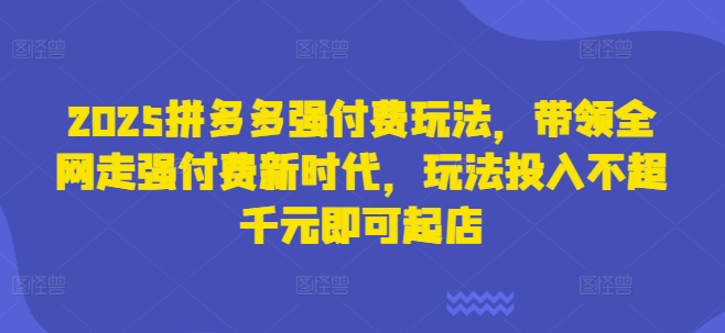 2025拼多多强付费玩法，带领全网走强付费新时代，玩法投入不超千元即可起店-网赚联盟