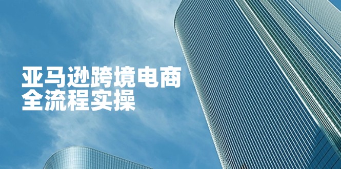 亚马逊跨境电商全流程实操，教你从零开始，掌握店铺运营与广告技巧-网赚联盟