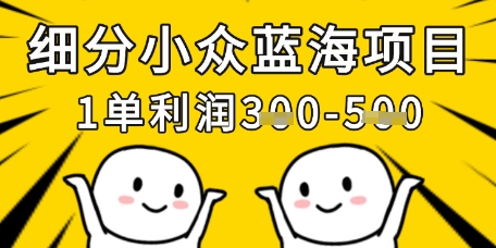 细分小众蓝海项目，一单利润3张，每月收入稳定过1w+-网赚联盟