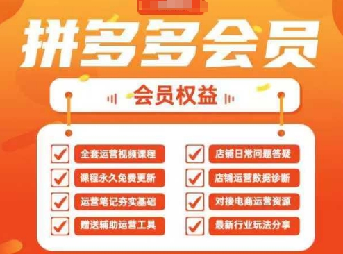 2025拼多多运营实战课，40节全流程教学，覆盖拼多多运营全链路-网赚联盟