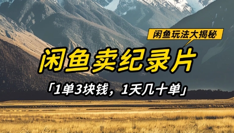 闲鱼卖纪录片1单3块钱，1天几十单，项目稳定有潜力-网赚联盟