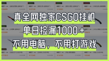 真全网独家CSGO挂G，单日捡漏1k+【揭秘】-网赚联盟