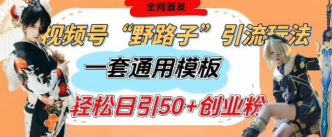 视频号“野路子”玩法，评论区疯狂截流，一套模板单日单号引流50+创业粉-网赚联盟
