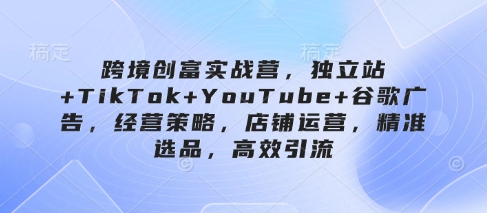 跨境创富实战营，独立站+TikTok+YouTube+谷歌广告，经营策略，店铺运营，精准选品，高效引流-网赚联盟