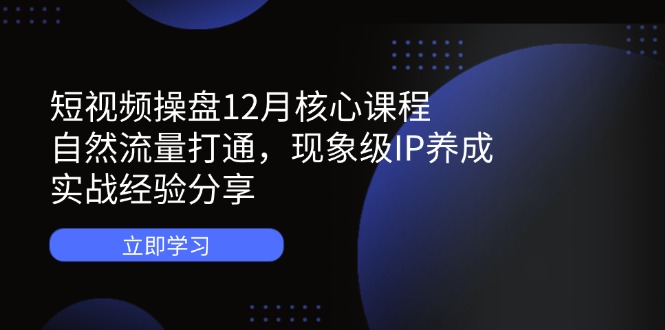 短视频操盘12月核心课程：自然流量打通，现象级IP养成，实战经验分享-网赚联盟