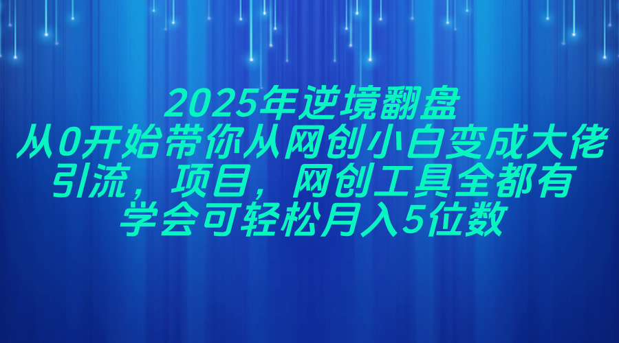 2025年逆境翻盘，从0开始带你从网创小白变成大佬，引流，项目，网创工…-网赚联盟