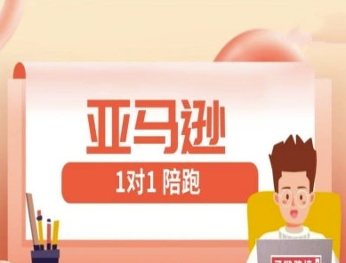 亚马逊1对1陪跑课(FBA/FBM精铺)跨境亚马逊教程-网赚联盟