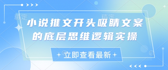 小说推文开头吸睛文案的底层思维逻辑实操-网赚联盟