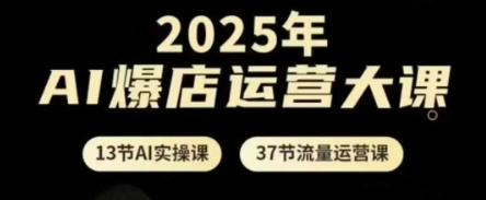 2025年AI爆店运营大课，13节AI实操课+37节流量运营课-网赚联盟