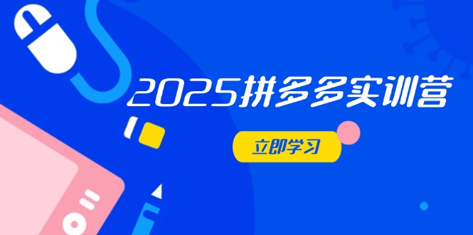 2025拼多多实训营：深度剖析运营关键，助力电商人快速提升-网赚联盟