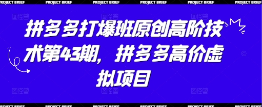 拼多多打爆班原创高阶技术第43期，拼多多高价虚拟项目-网赚联盟