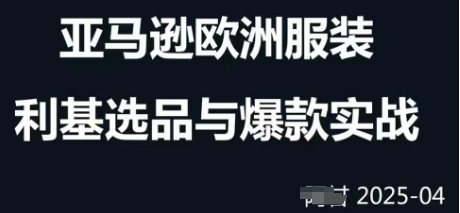 跨境电商选品案例24-25年，聚焦跨境电商选品策略与运营优化，助力卖家挖掘蓝海市场-网赚联盟