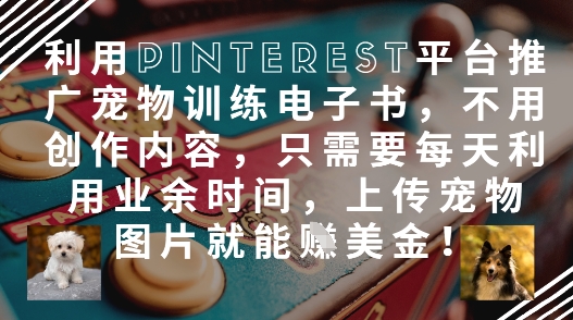 利用Pinterest平台推广宠物训练电子书，不用创作内容，只需要每天利用业余时间，上传宠物图片就能挣美金!-网赚联盟