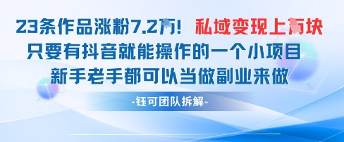 抖音私域项目23条作品涨粉7.2W，私域变现1W-网赚联盟