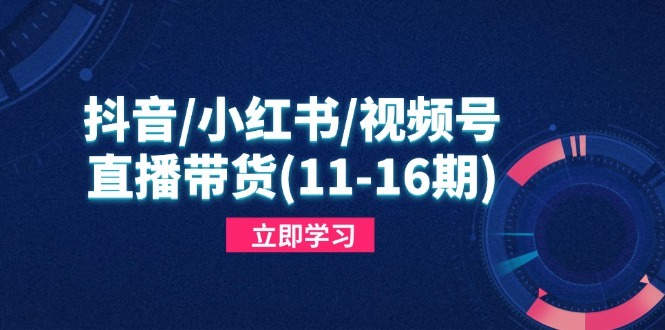 抖音/小红书/视频号/直播带货(11-16期-网赚联盟