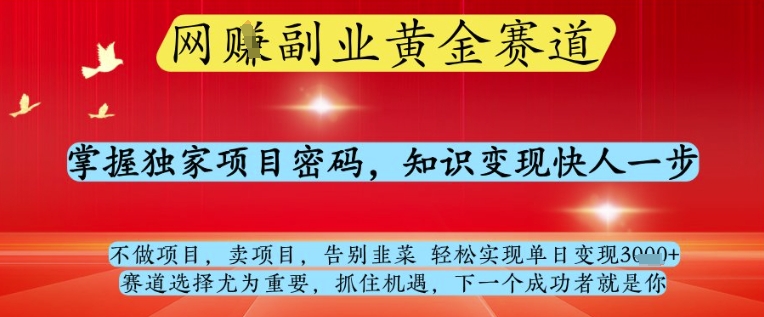 网创副业黄全赛道，掌握独家项目密码，知识变现快人一步，告别韭菜轻松实现单日变现1k+【揭秘】-网赚联盟