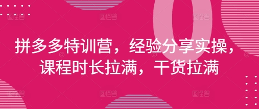 拼多多特训营，经验分享实操，课程时长拉满，干货拉满(更新25年4月)-网赚联盟