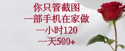 你只管截图，一部手机在家可以做，一小时120.一天5张+【揭秘】-网赚联盟