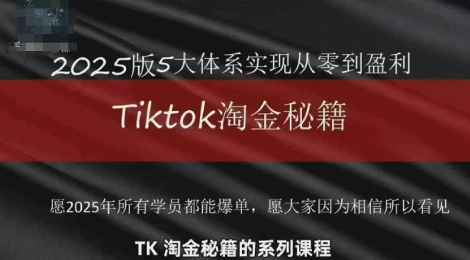 TikTok跨境2025淘金秘籍，​2025TikTok从0到盈利变现-网赚联盟