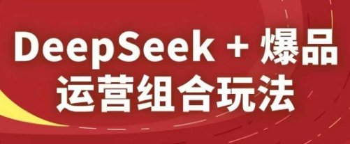 DeepSeek+爆品运营组合玩法，2025淘系精品课-网赚联盟