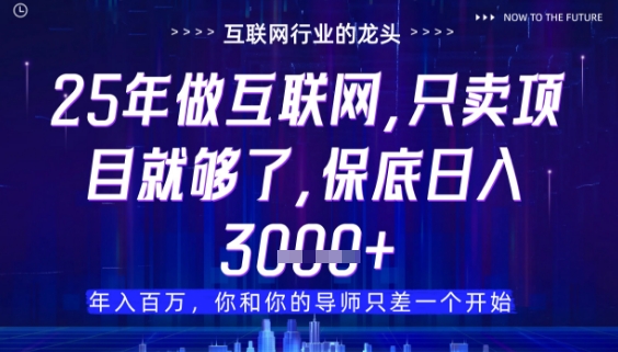 什么！25年你还在找项目做？风口早就变了，卖项目才是稳挣不赔【揭秘】-网赚联盟