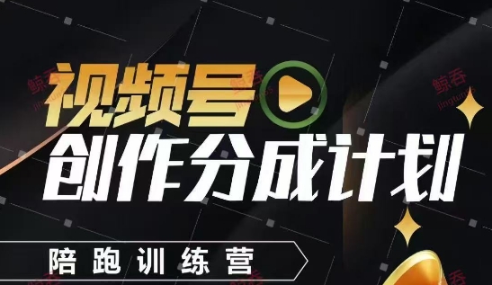视频号创作分成计划陪跑训练营，手把手教会你如何制作视频，细水长流型项目-网赚联盟