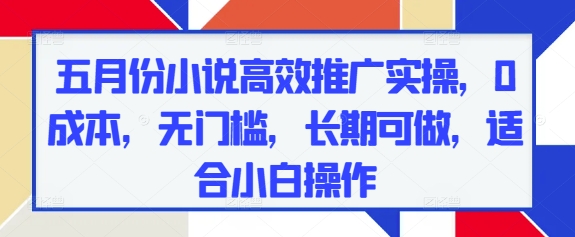 五月份小说高效推广实操，0成本，无门槛，长期可做，适合小白操作-网赚联盟