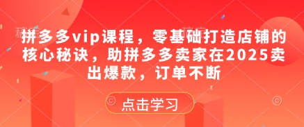 拼多多vip课程，零基础打造店铺的核心秘诀，助拼多多卖家在2025卖出爆款，订单不断-网赚联盟