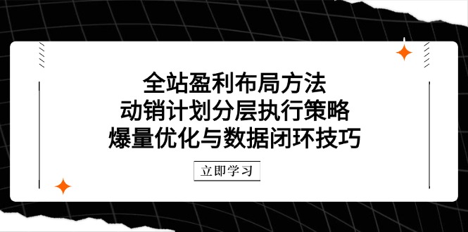 全站盈利布局方法：动销计划分层执行策略，爆量优化与数据闭环技巧-网赚联盟