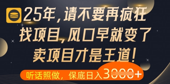 什么？25年你还在疯狂找项目做，醒醒吧，看完这些你全都懂了【揭秘】-网赚联盟
