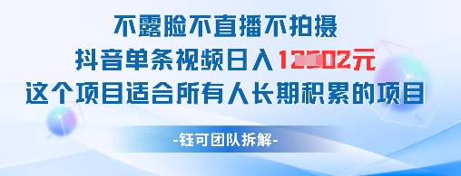 不露脸不直播不拍摄抖音单条视频日入1k+这个项目适合所有人长期积累的项目-网赚联盟