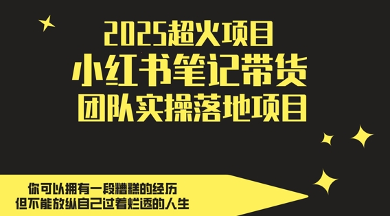 2025超火项目，副业最佳选择，小红书笔记带货团队实操落地项目，，轻松日入5张-网赚联盟