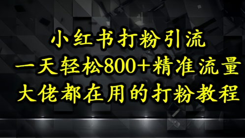 小红书打粉引流，一天轻松500+精准流量，大佬都在用的打粉教程-网赚联盟