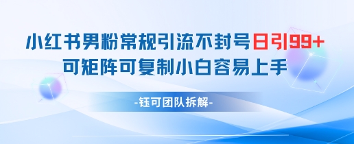 小红书男粉常规引流不封号日引99+变现简单 可矩阵可复制小白容易上手-网赚联盟
