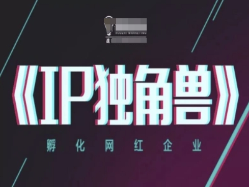 IP独角兽，孵化网红企业，ip教程-网赚联盟