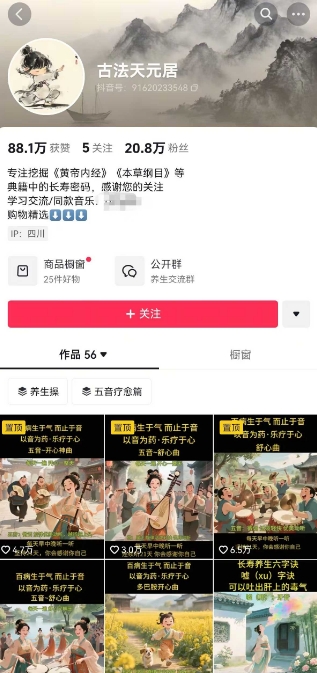 古法五音养生教程，五音疗愈的视频的制作方法，2-4小时就能学会，作者10天涨粉10W-网赚联盟