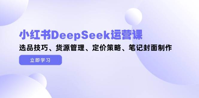 小红书DeepSeek运营课，选品技巧、货源管理、定价策略、笔记封面制作-网赚联盟