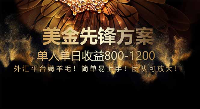 免费技术！小众赛道！一年布局抵三年努力，每日800+-网赚联盟