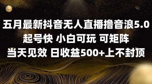 2025五月最新无人直播撸音浪单日产出5张+实操教程【揭秘】-网赚联盟