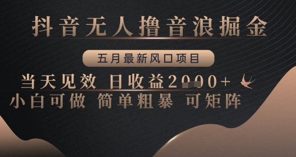 抖音无人撸音浪掘金，五月最新风口项目，当天见效，日收益多张，小白可做简单粗暴可矩阵【揭秘】-网赚联盟