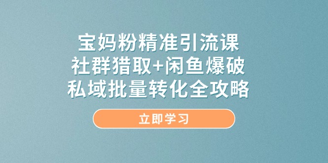 宝妈粉精准引流课，社群猎取+闲鱼爆破，私域批量转化全攻略-网赚联盟