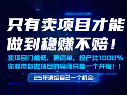 只有卖项目才能做到稳挣不赔，门槛低，更简单，你也可以年入百个W【揭秘】-网赚联盟
