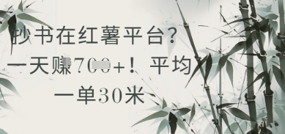 抄书在小红薯平台？平均一单30米，一天收益几张！-网赚联盟