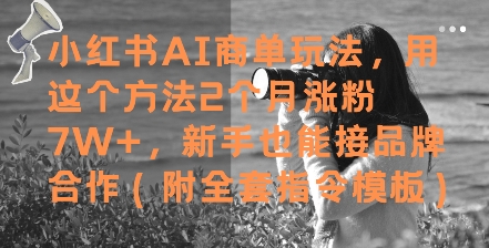 小红书AI商单玩法，用这个方法2个月涨粉7W+，新手也能接品牌合作(附全套指令模板)-网赚联盟