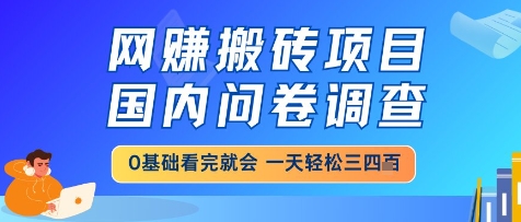 网创搬砖项目，国内问卷调查，小白轻松上手，一天三四张的也不难，干就完了【揭秘】-网赚联盟