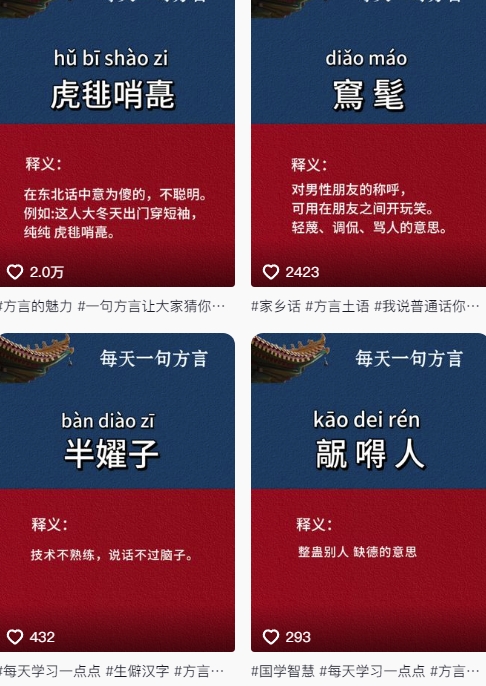 抖音最新涨粉玩法，图文方言暴力涨粉实操，126作品涨粉11W-网赚联盟