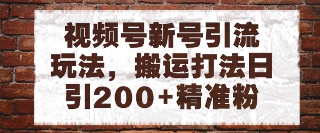 视频号新号引流玩法，搬运打法日引200+精准粉，可矩阵放大【揭秘】-网赚联盟